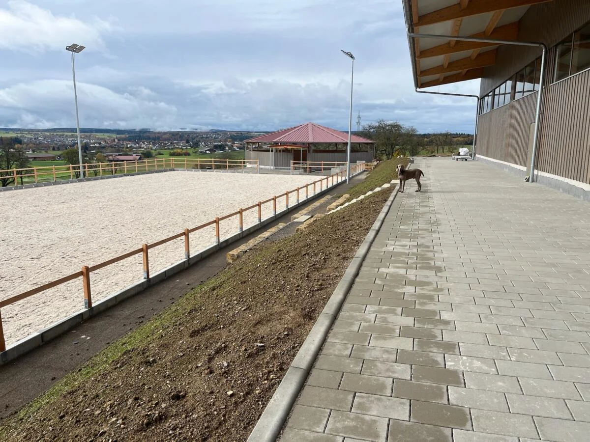 Training auf dem Reitplatz